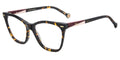 #colour_tortoise