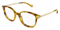 Chloe CH0359O #colour_havana and gold