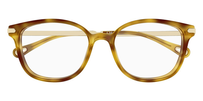 Chloe CH0359O #colour_havana and gold