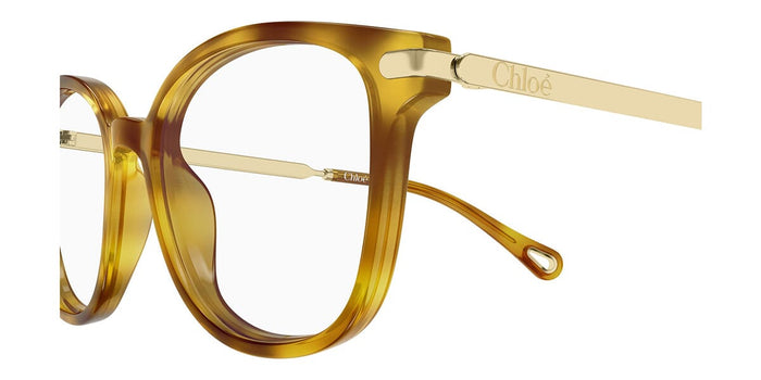 Chloe CH0359O #colour_havana and gold