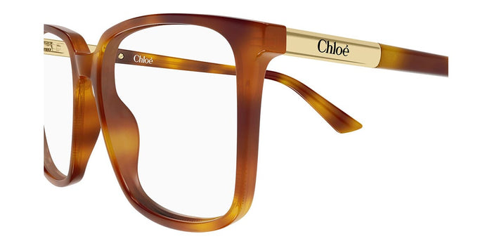 Chloe CH0369O #colour_havana