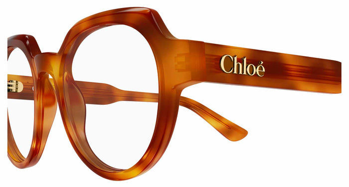 Chloe CH0379O #colour_havana