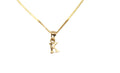 Dainty Initial image 0