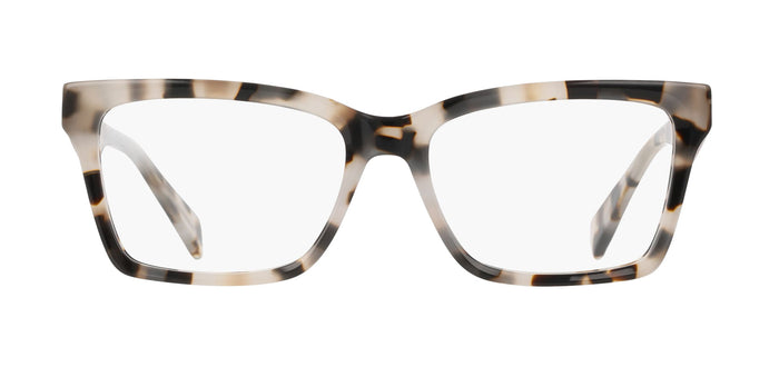#colour_ivory-tortoise