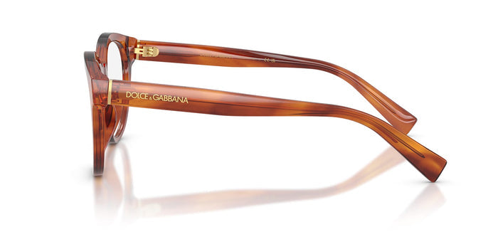 Dolce&Gabbana DG3421#colour_striped-ginger
