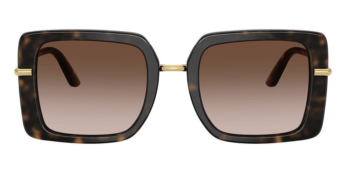 Dolce&Gabbana DG4491 #colour_havana on white barrow/brown gradient
