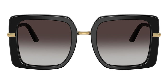 Dolce&Gabbana DG4491 #colour_black on leopard/grey gradient