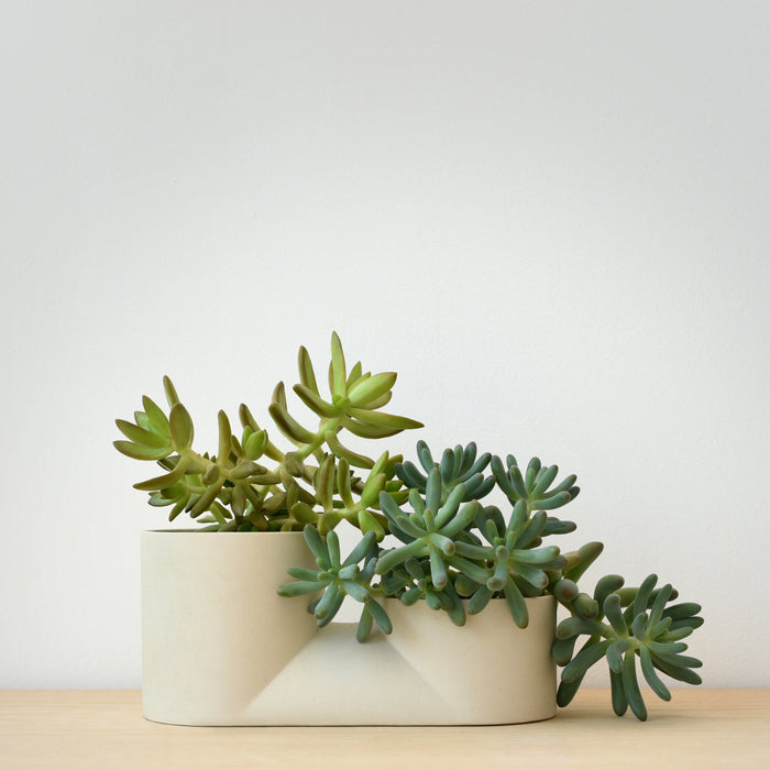Double Planter – Handmade Ceramic