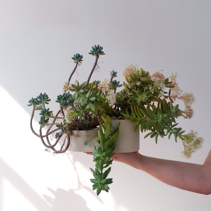 Double Planter – Handmade Ceramic