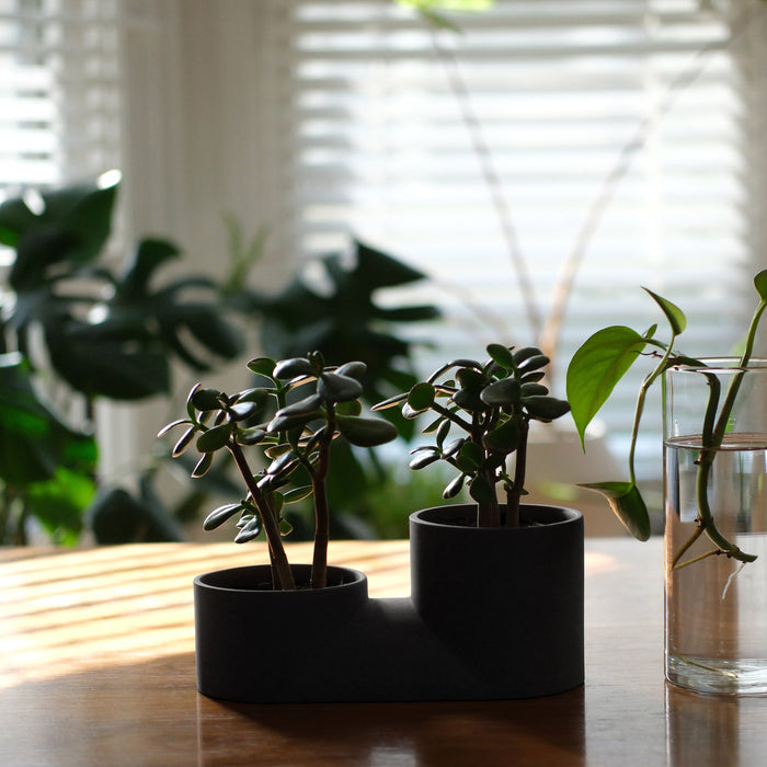 Double Planter – Handmade Ceramic