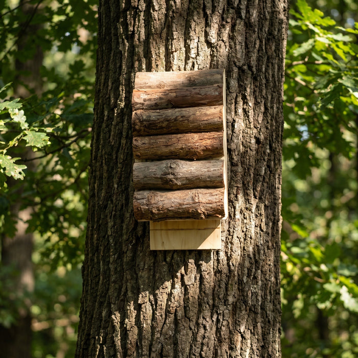 Bat house mounted on an oak tree trunk in dappled forest light