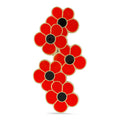 Falling Poppies Five Petal Pin