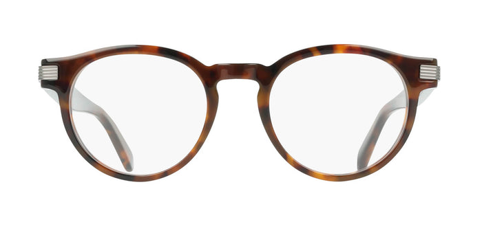 #colour_brown-tortoise