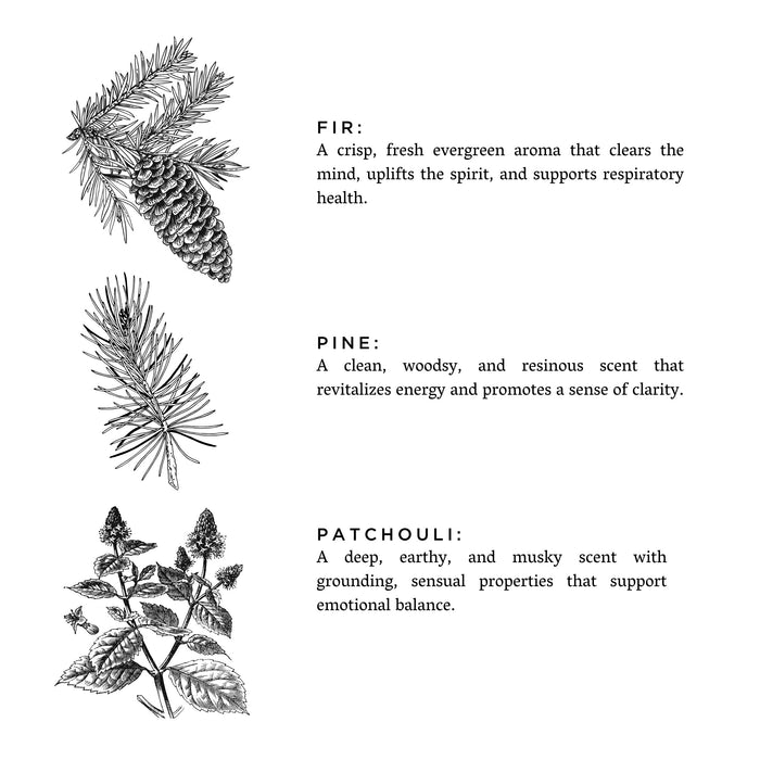Forest Bathing – Fir, Pine & Patchouli Signature Soy Candle