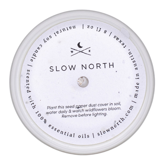 Forest Bathing – Fir, Pine & Patchouli Signature Soy Candle