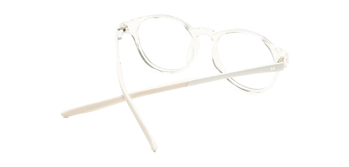 Tortoise_White