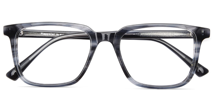 Grey_Tortoise_with_Grey