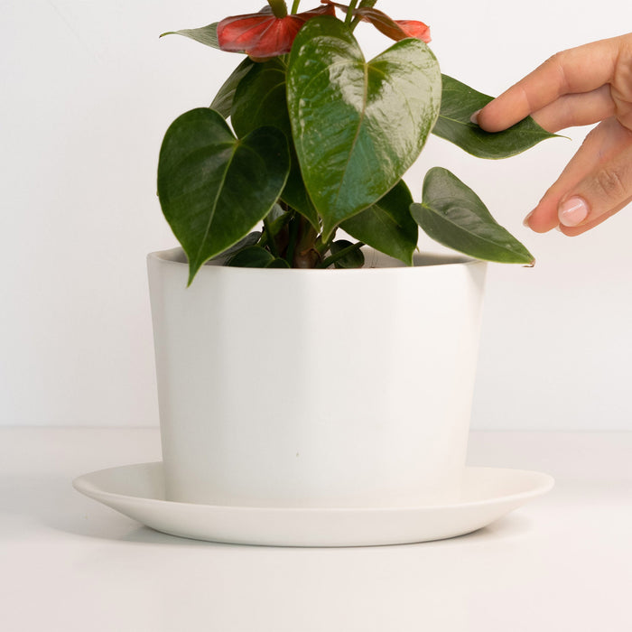Geometric Oval Porcelain Planter