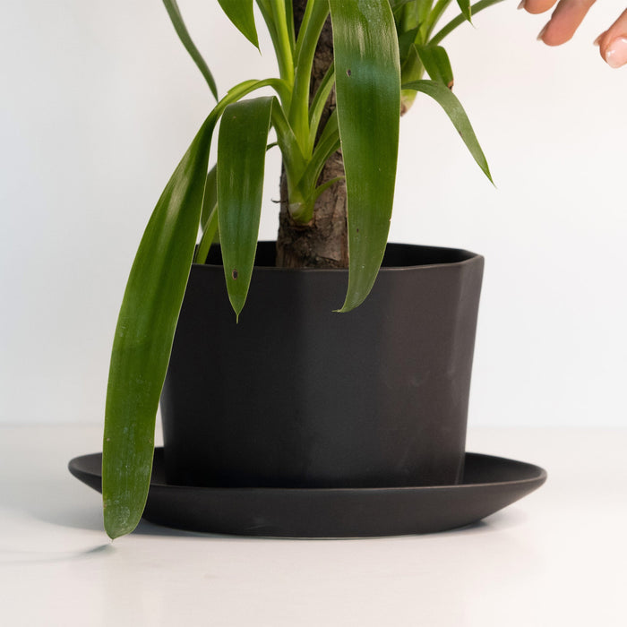 Geometric Oval Porcelain Planter