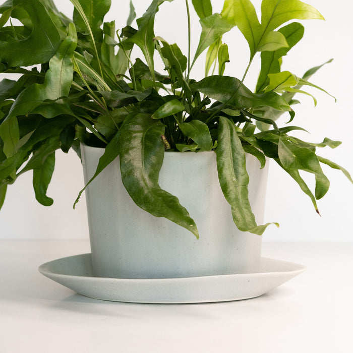Geometric Oval Porcelain Planter