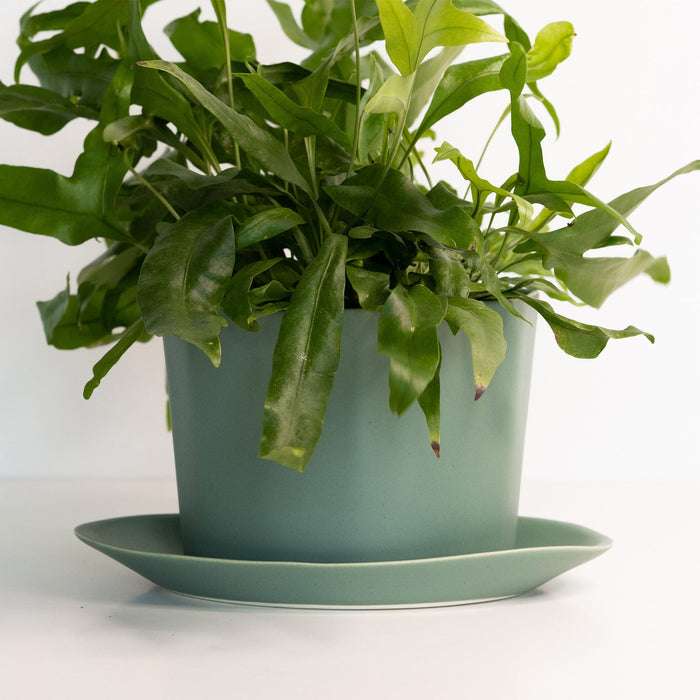 Geometric Oval Porcelain Planter