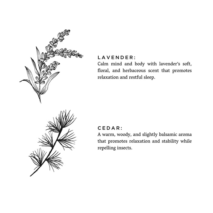 Lavender + Cedar – Signature Soy Candle
