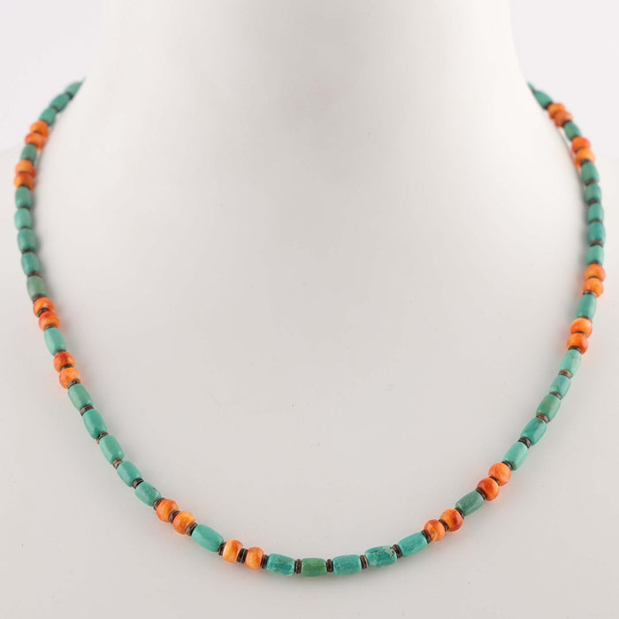 Multi-Stone Bead Necklace