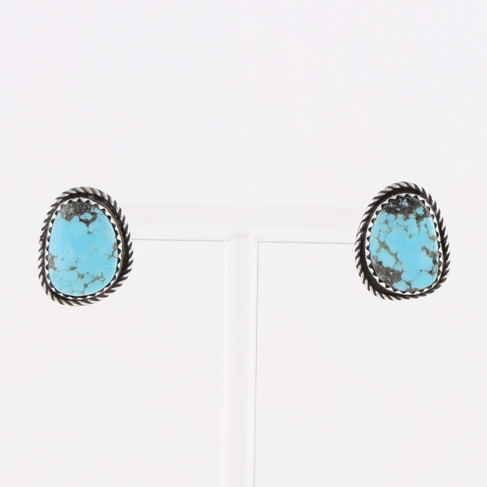 Navajo Kingman Turquoise Earrings
