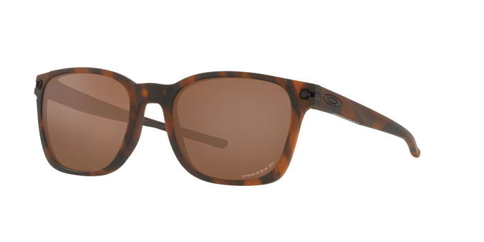 Brown/Brown Polarised / 55