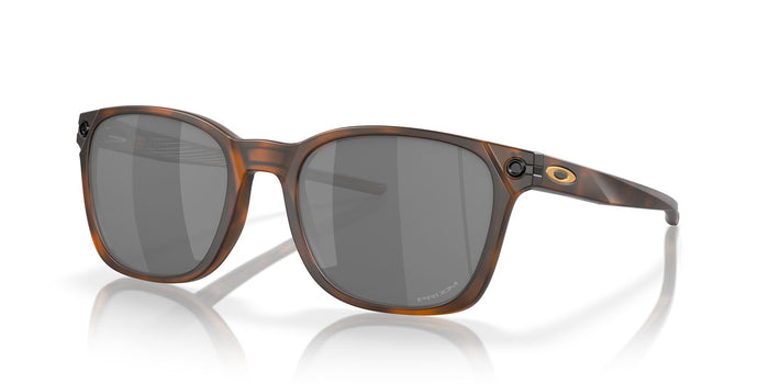 Matte Brown Tortoise/Prizm Black / 55