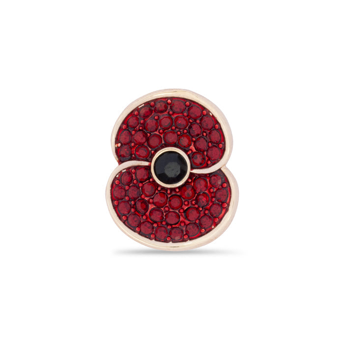 Pave Poppy Pin with Jet Centre