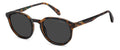 Polaroid PLD 4195/S #colour_havana-brown-grey-polarised