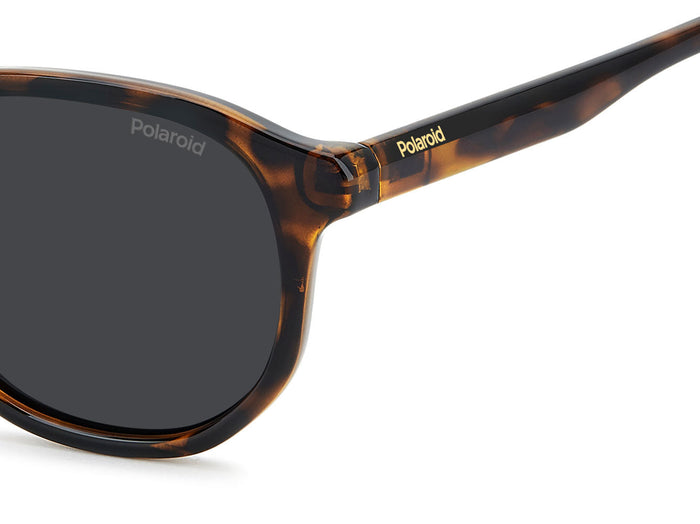 Polaroid PLD 4195/S #colour_havana-brown-grey-polarised