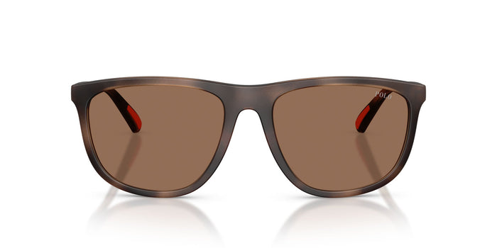 Polo Ralph Lauren PH4231U Matte Dark Havana/Dark Brown #colour_matte-dark-havana-dark-brown
