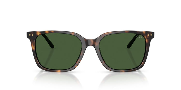 Polo Ralph Lauren PH4235U Shiny Dark Havana/Bottle Green #colour_shiny-dark-havana-bottle-green