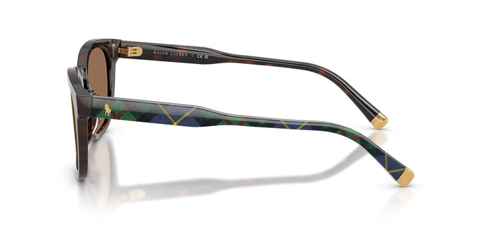 Polo Ralph Lauren PH4242U #colour_shiny havana/dark brown