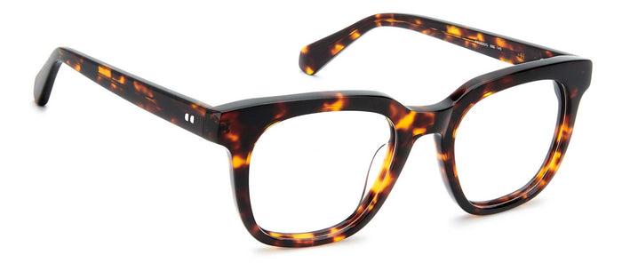Prive Revaux PR1020/G #colour_havana-brown