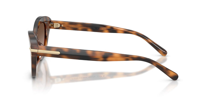 Ralph Lauren RL8236U #colour_havana/brown gradient