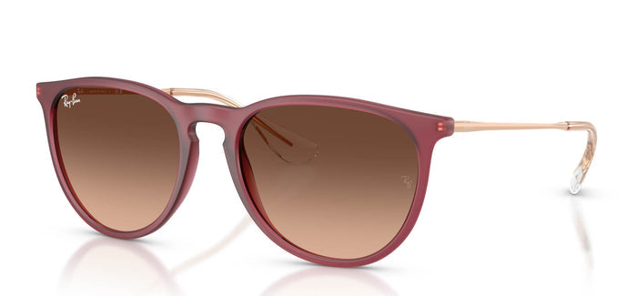 Rubber Violet/Pink Brown Gradient / 54