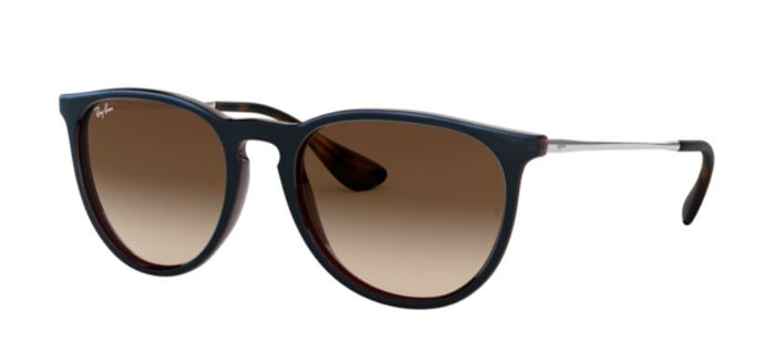 Transparent Brown-Blue/Brown-Dark Brown Gradient / 54