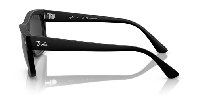 Ray-Ban RB4428#colour_black-black-polarised