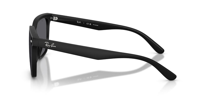 Ray-Ban RB4466D #colour_matte black/grey polarised