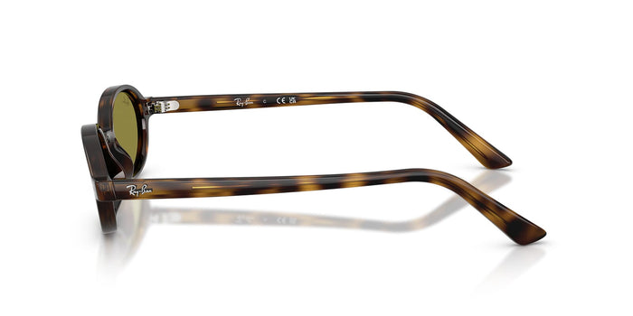 Ray-Ban RB4472#colour_havana-green