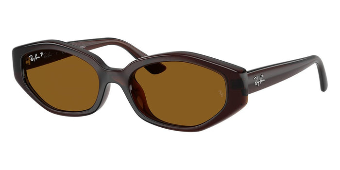 Dark Brown/Dark Brown Polarised / 56