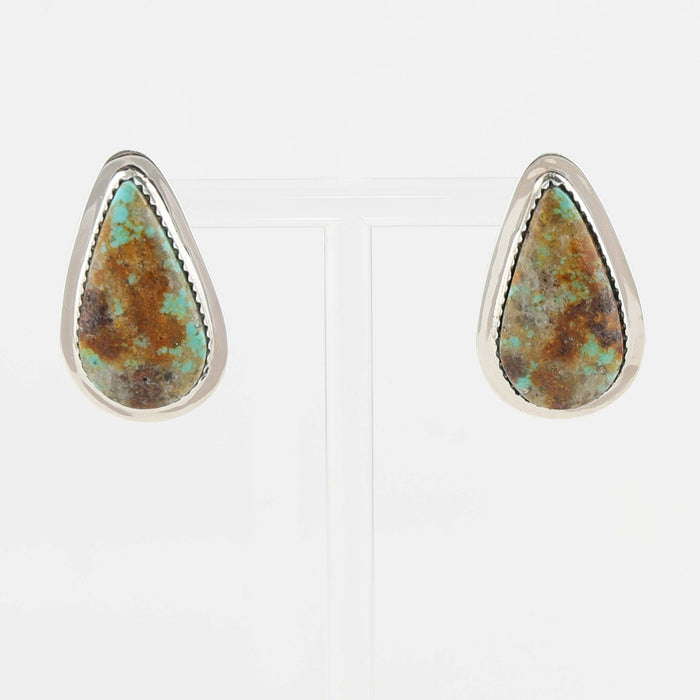 Royston Turquoise Earrings