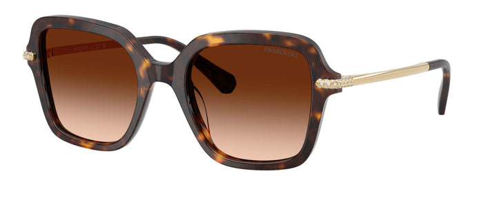 #colour_havana-brown-gradient