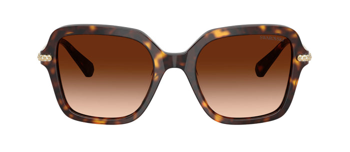 #colour_havana-brown-gradient
