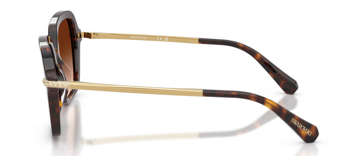 #colour_havana-brown-gradient