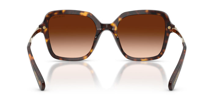 #colour_havana-brown-gradient
