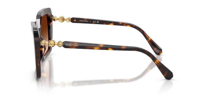 Swarovski SK6049 #colour_havana/brown gradient
